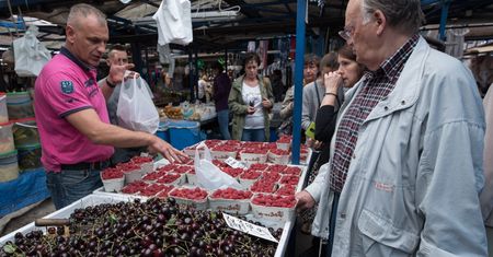 Czereśnie – ich cena w tym roku przyprawia o zawrót głowy