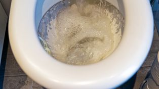 Wsyp do WC przed wizytą gości. Po 15 minutach zapach jak w hotelu