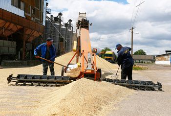 UE naciska na Polskę. Koniec z embargiem na produkty z Ukrainy?