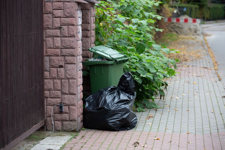 Nowe projekt ws. odpadów. Rosną kary za zaśmiecanie miejsc publicznych