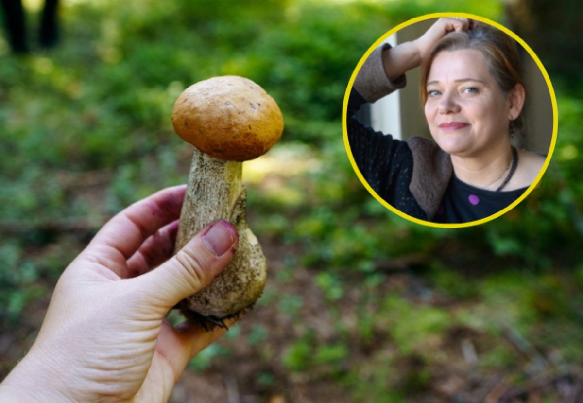 Mykolożka zapewnia, grzyby jeszcze będą