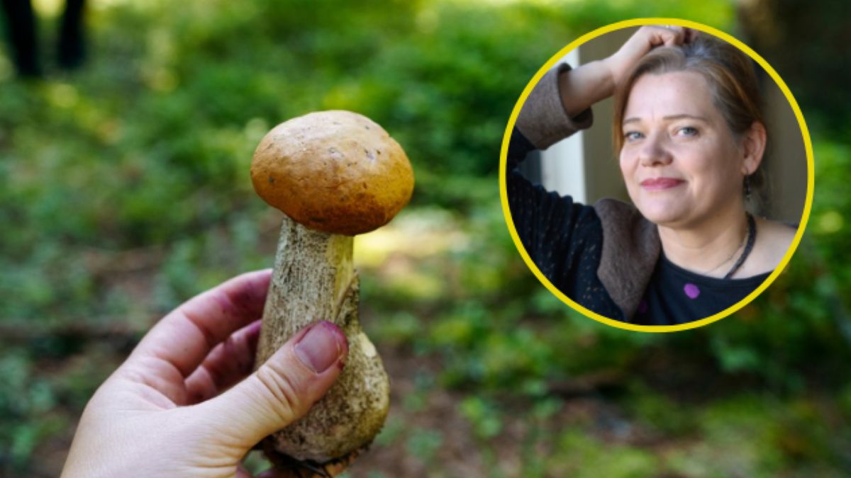 Mykolożka zapewnia, grzyby jeszcze będą