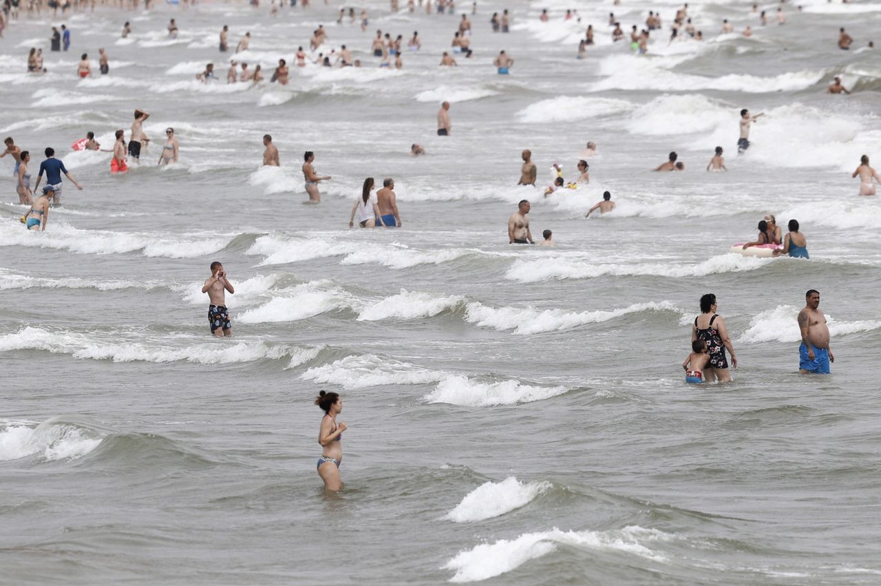 Toksyczne algi na hiszpańskich plażach. Mogą powodować problemy zdrowotne