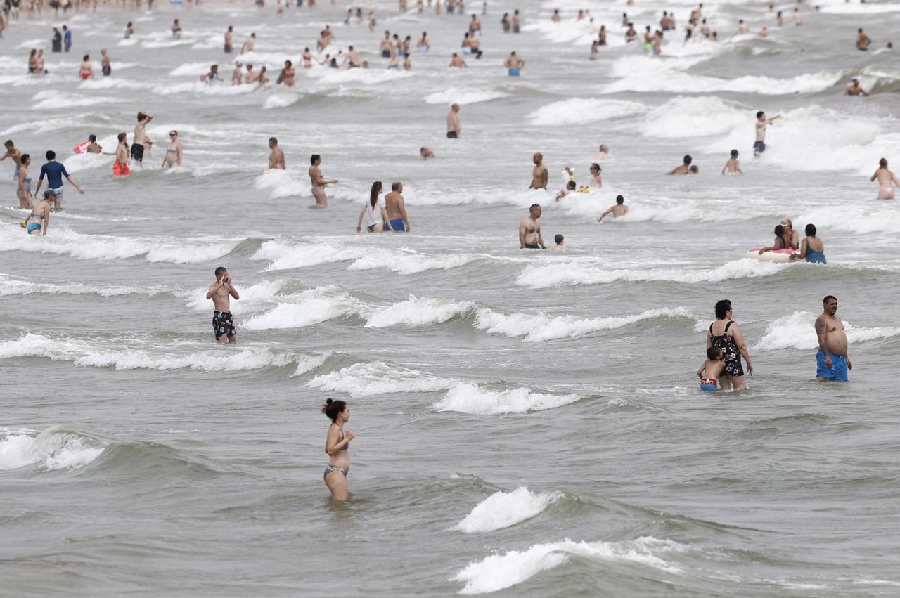 Toksyczne algi na hiszpańskich plażach. Mogą powodować problemy zdrowotne