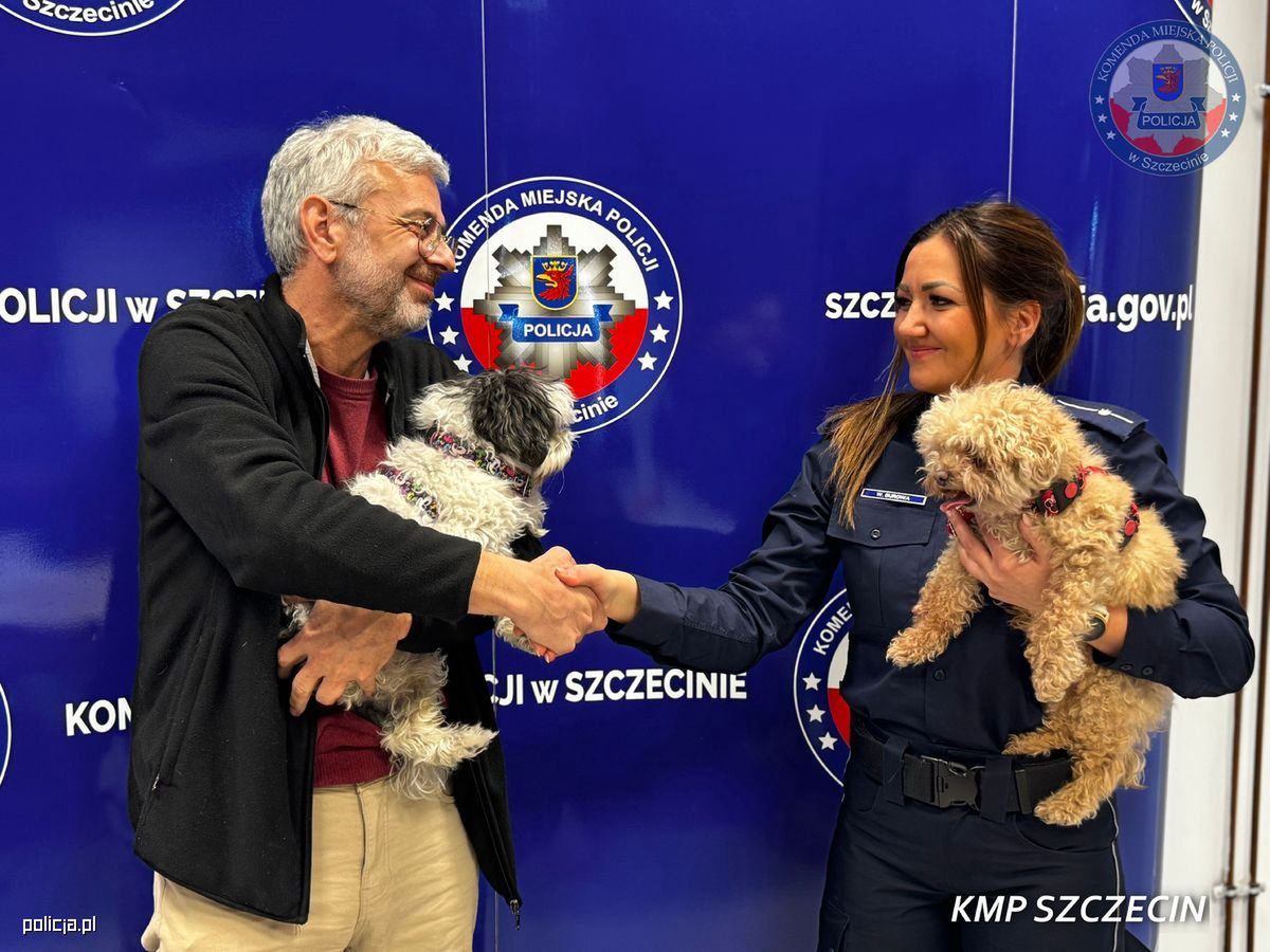 Szczecińscy policjanci odzyskali skradzione psy