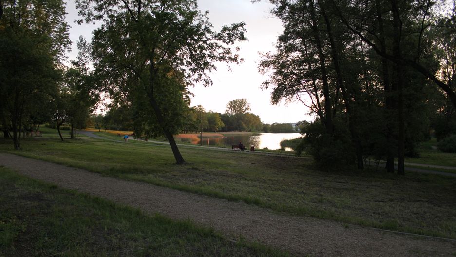 Widok od strony ul. Rzgowskiej na park oraz staw