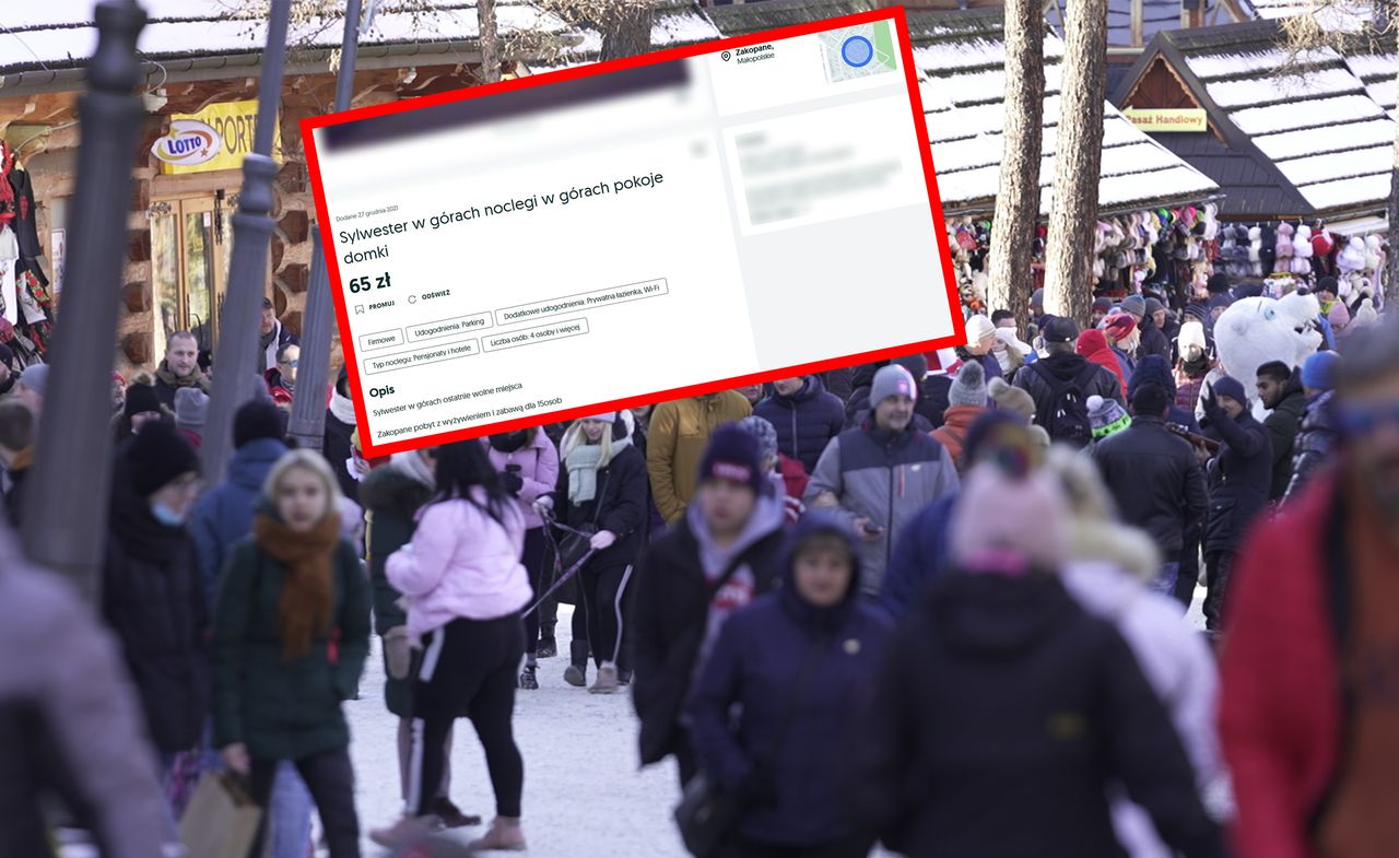 Oszuści okradli 132 osoby na kwatery widmo w Zakopanem i nad morzem. Gigantyczne straty