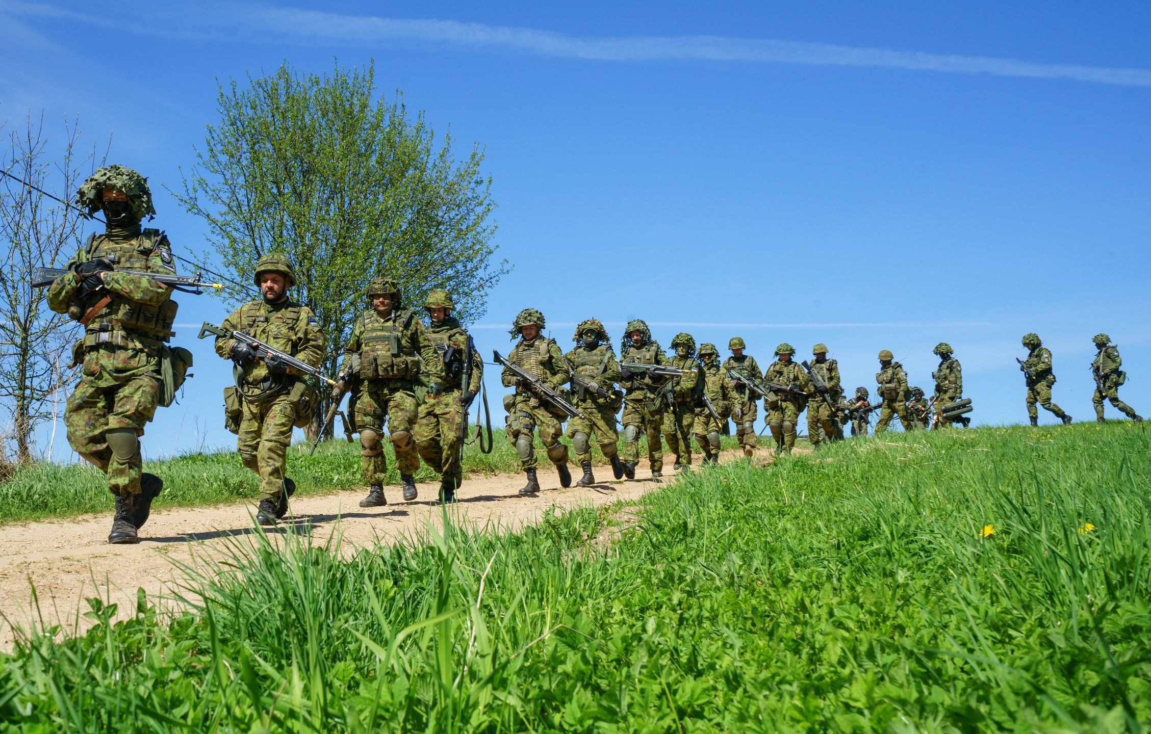Estońscy żołnierze podczas ćwiczeń w okolicach miejscowości Varstu, maj 2018 roku