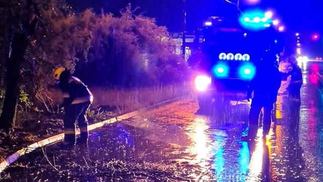 Śląski. Usuwanie zwalonych drzew na drogi to było jedne z najczęstszych wezwań.