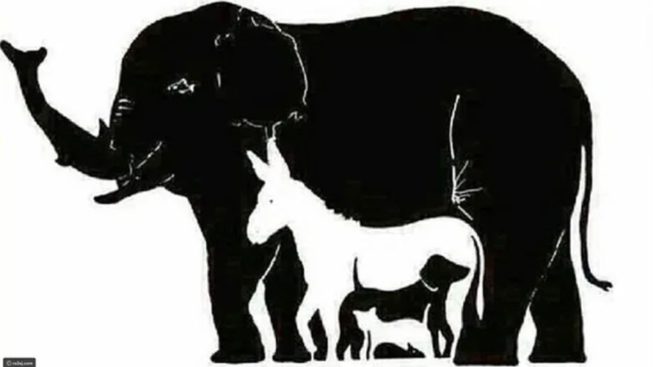 Łamigłówka dla dzieci i dorosłych