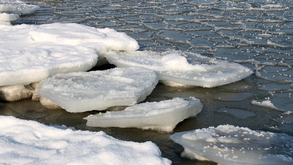 Wędkarze uwięzieni na oderwanej krze