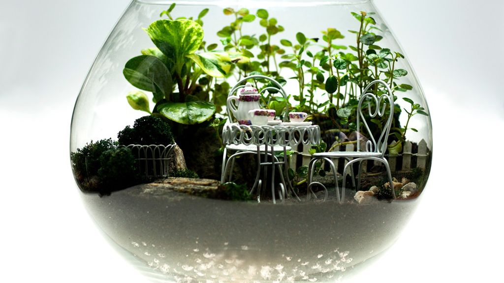 Las w słoiku to mini ekosystem, który jest modnym elementem wystroju wnętrz