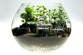 Las w słoiku - jak zrobić mini las zamknięty w szklanym słoju?