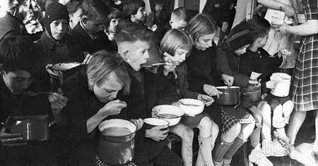 Holandia 1944. Gdy jedynym pokarmem była kora i cebulki tulipanów
