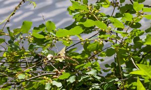 Został tylko rok. Kto się nie pozbędzie, ten się nie wypłaci