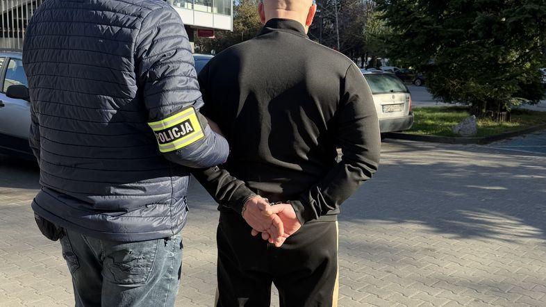 policja