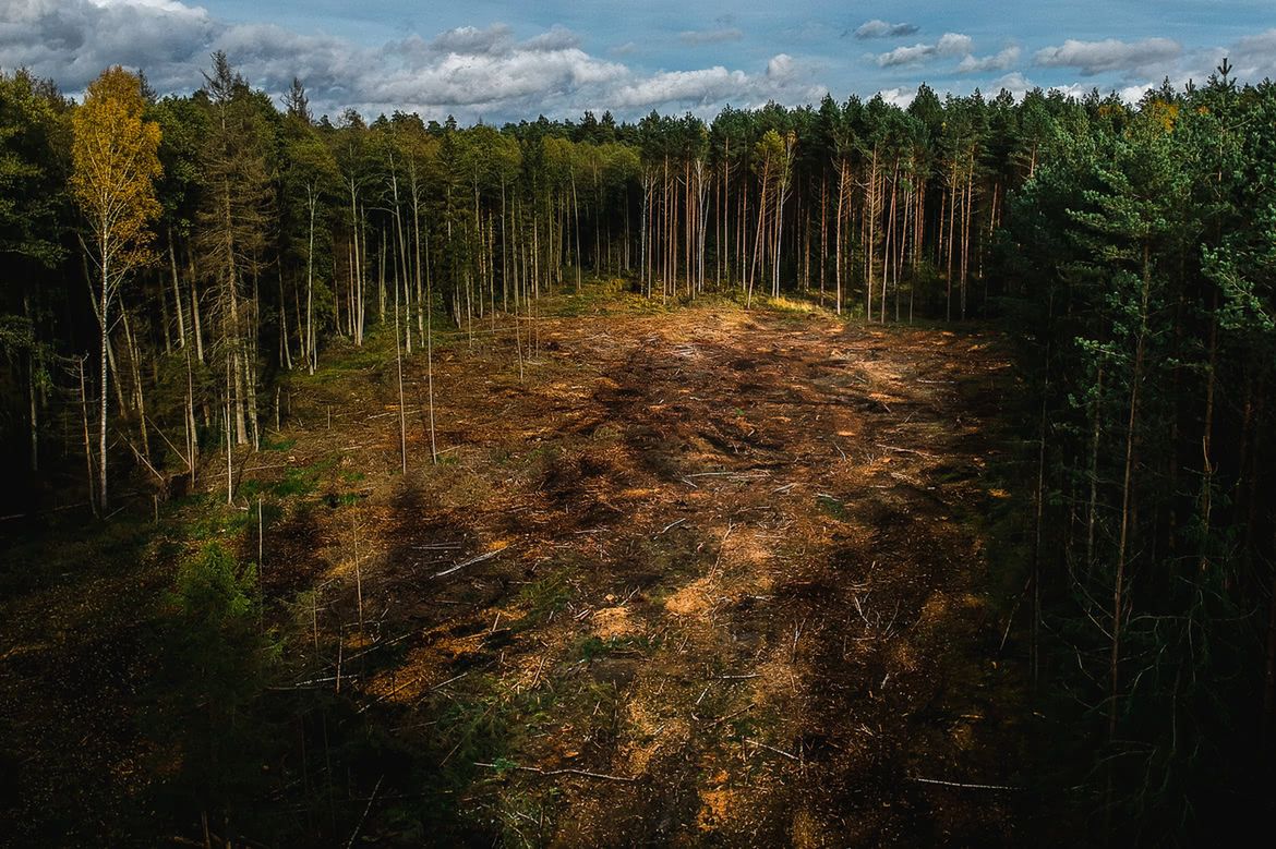 Stowarzyszenie Fotoreporterów wybrało Krystiana Maja na Fotoreportera Roku 2017 6