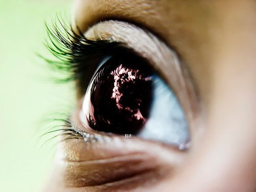 Dbaj o oczy przed komputerem ? konkurs Fotoblogii i Hyabak 1