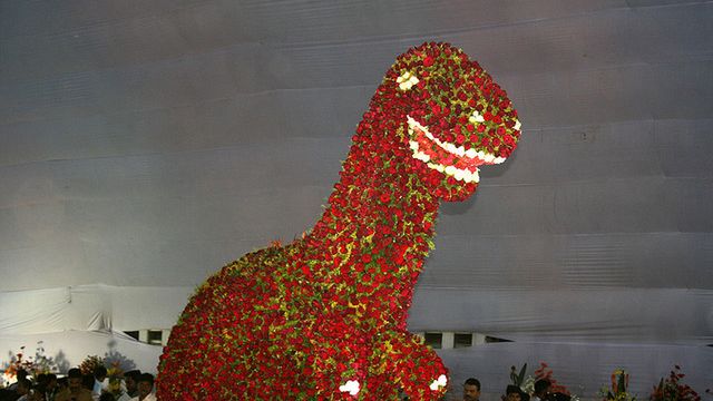 Prehistoria - wersja doniczkowa 1