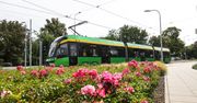 Poznań: Przetarg na nowe tramwaje. Jedyna oferta przekracza budżet MPK