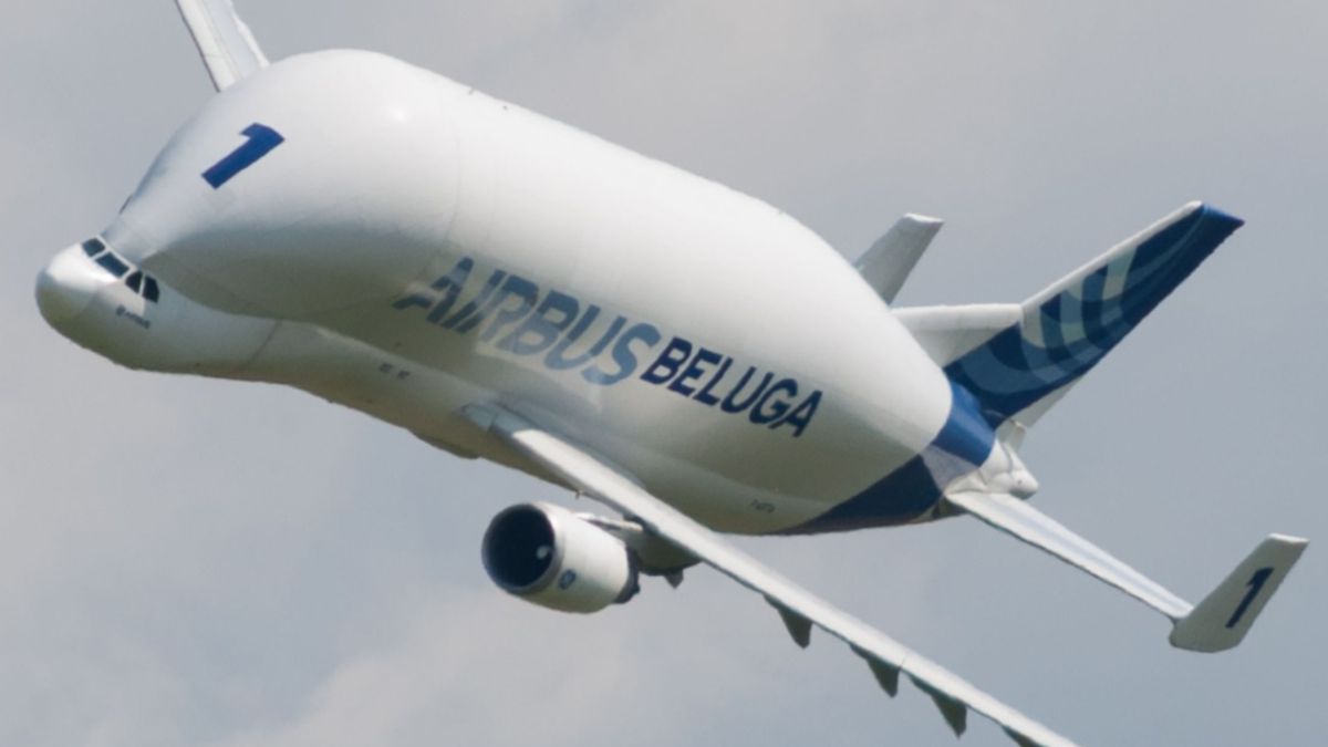 Airbus Beluga w locie