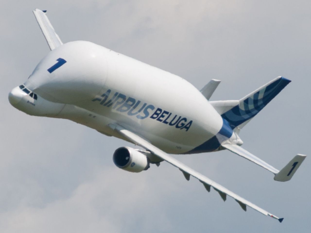 Airbus Beluga w locie