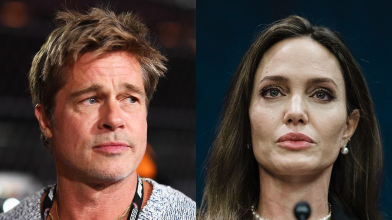 Brad Pitt blames Angelina Jolie for the protracted divorce.