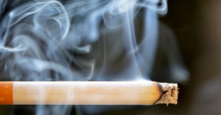 Mazowsze. Akcja Straży Granicznej. Zlikwidowano fabrykę nielegalnych papierosów