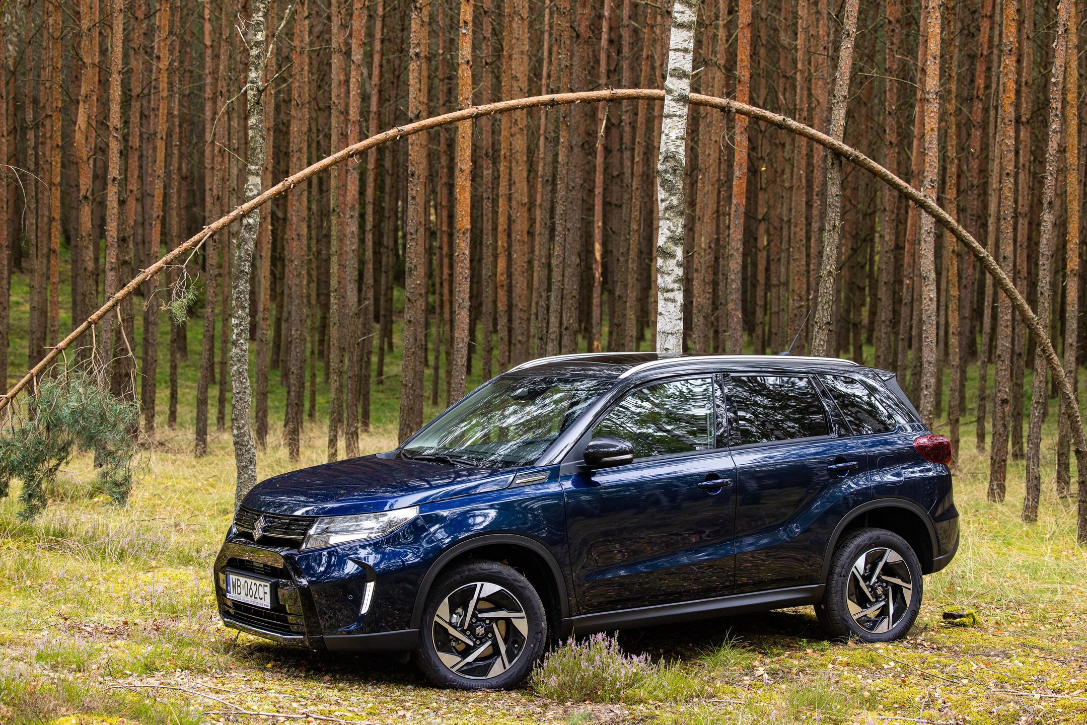 Suzuki Vitara FL