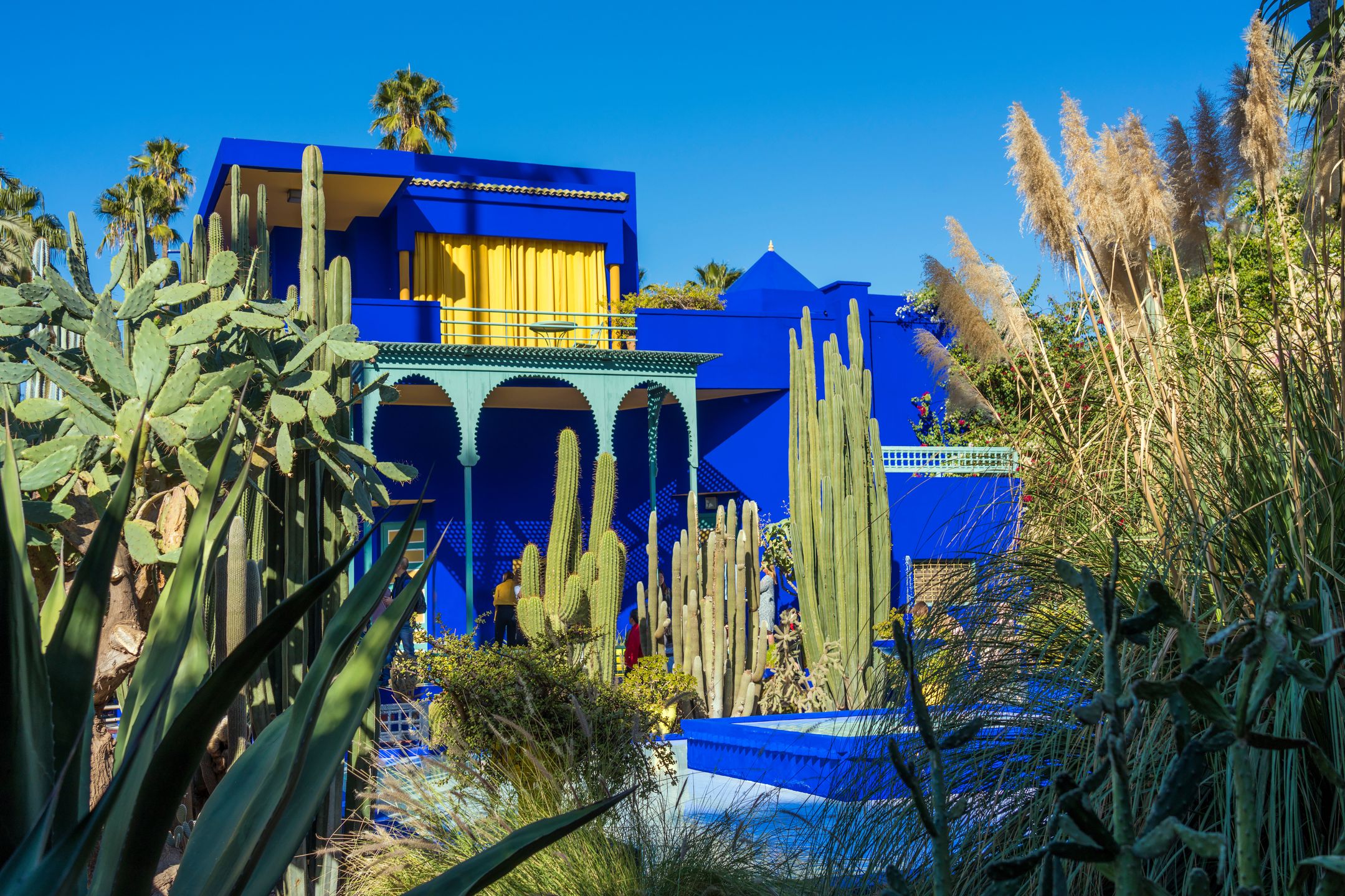 Ogród Jardin Majorelle w 1980 trafił w ręce Yves Saint Laurenta i Pierra Berge 