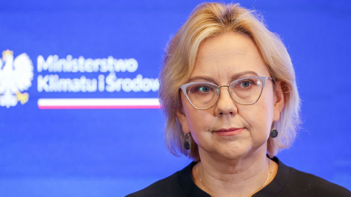 Minister klimatu i środowiska Anna Moskwa