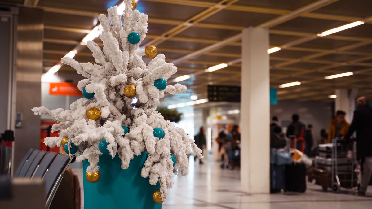 Empty airport hall with a Christmas tree with seasonal decoration. Horizontal view of crowded space on holiday season. Christmas and seasonal concept.
Bea Vera
airport, christmas, tree, travel, empty, december, aeroplane, people, claus, santa, plane, transportation, year, gift, flight, seasonal, aircraft, holiday, celebration, new, decoration, winter, merry, fly, boarding, eve, background, commercial, departure, terminal, arrival, tourism, nobody, lifestyle, hall, airport, christmas, tree, travel, empty, december, aeroplane, people, claus, santa, plane, transportation, year, gift, flight, seasonal, aircraft, holiday, celebration, new, decoration, winter, merry, fly, boarding, eve, background, commercial, departure, terminal, arrival, tourism, nobody, lifestyle, hall