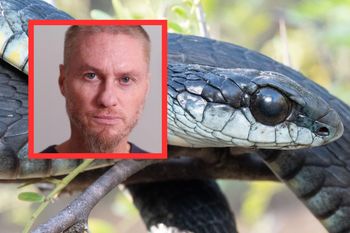 Tim Friede przeżył 200 ukąszeń węży. Jego krew daje nadzieję