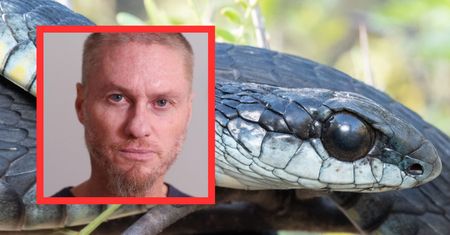 Tim Friede przeżył 200 ukąszeń węży. Jego krew daje nadzieję