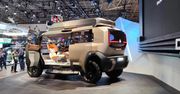 Mitsubishi DX Concept - pojechałbym nim na safari