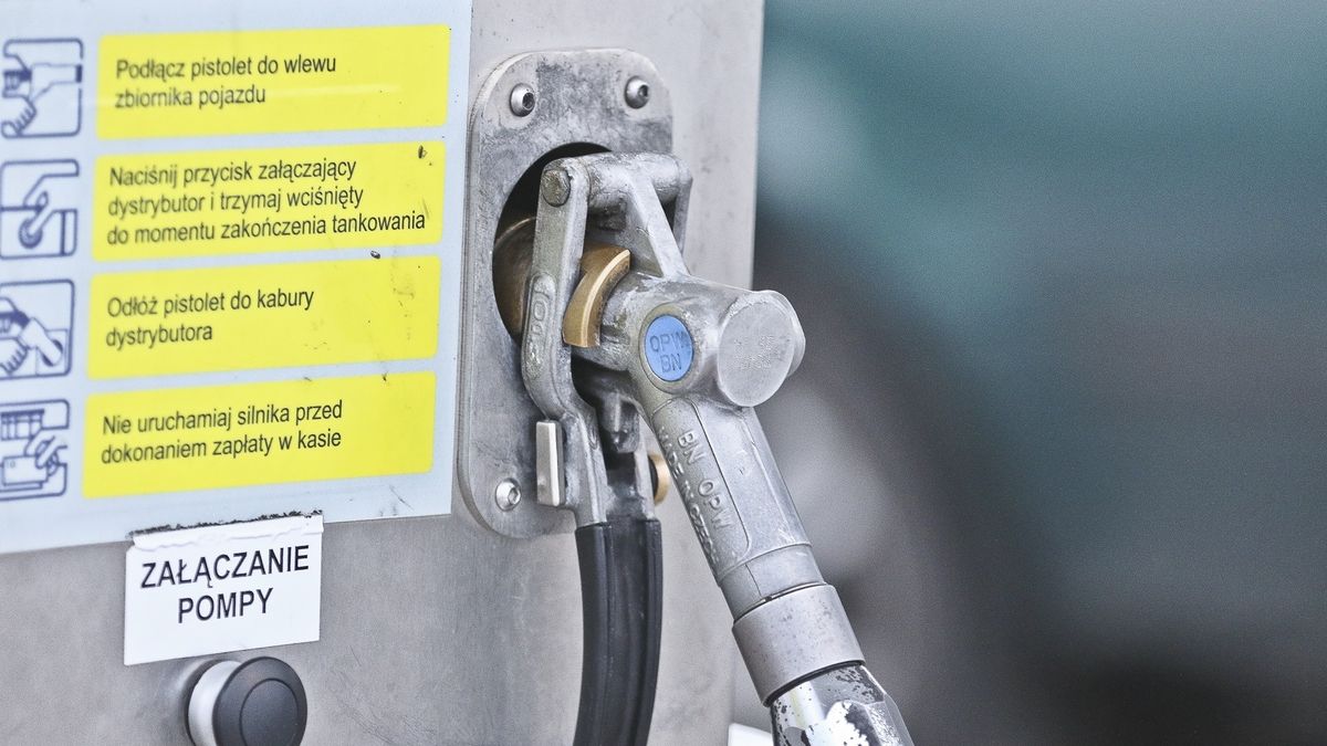 LPG pozwala oszczędzać przede wszystkim na co dzień, ale dzięki temu na wakacjach możecie wydać lub zaoszczędzić nawet kilkaset złotych.