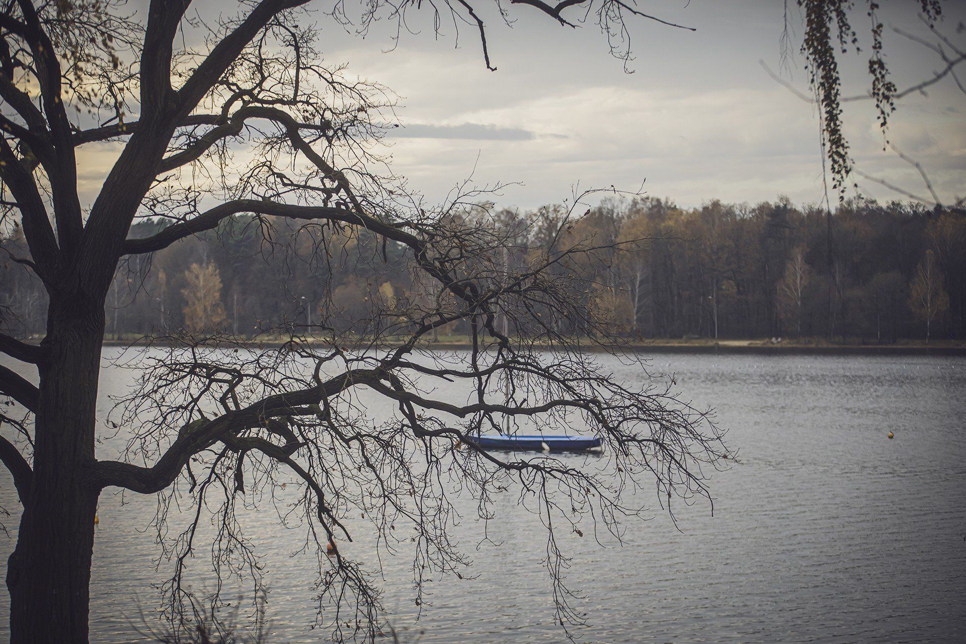 Piękne śląskie jezioro w złotej odsłonie. To już ostatnie chwile takiego koloru