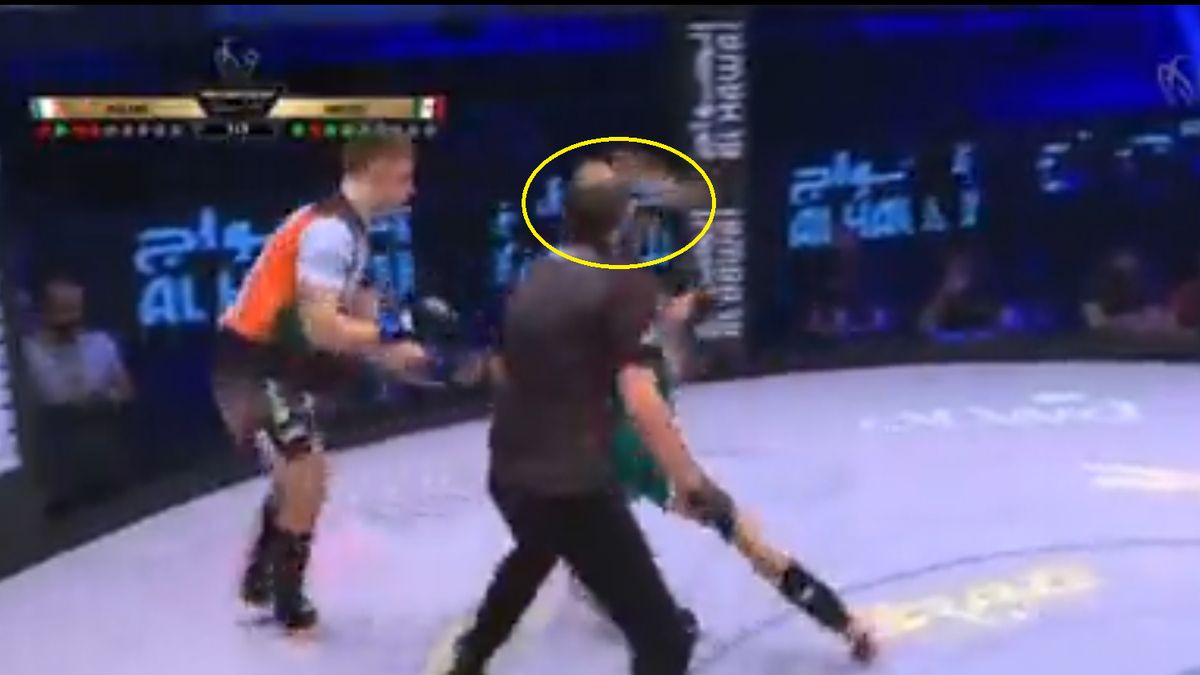 Szok! Sędzia brutalnie znokautowany w MMA (wideo)