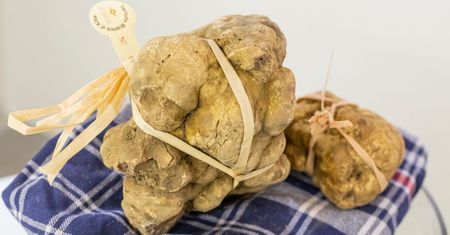 5 najdroższych pokarmów świata. Które są cenniejsze niż złoto?
