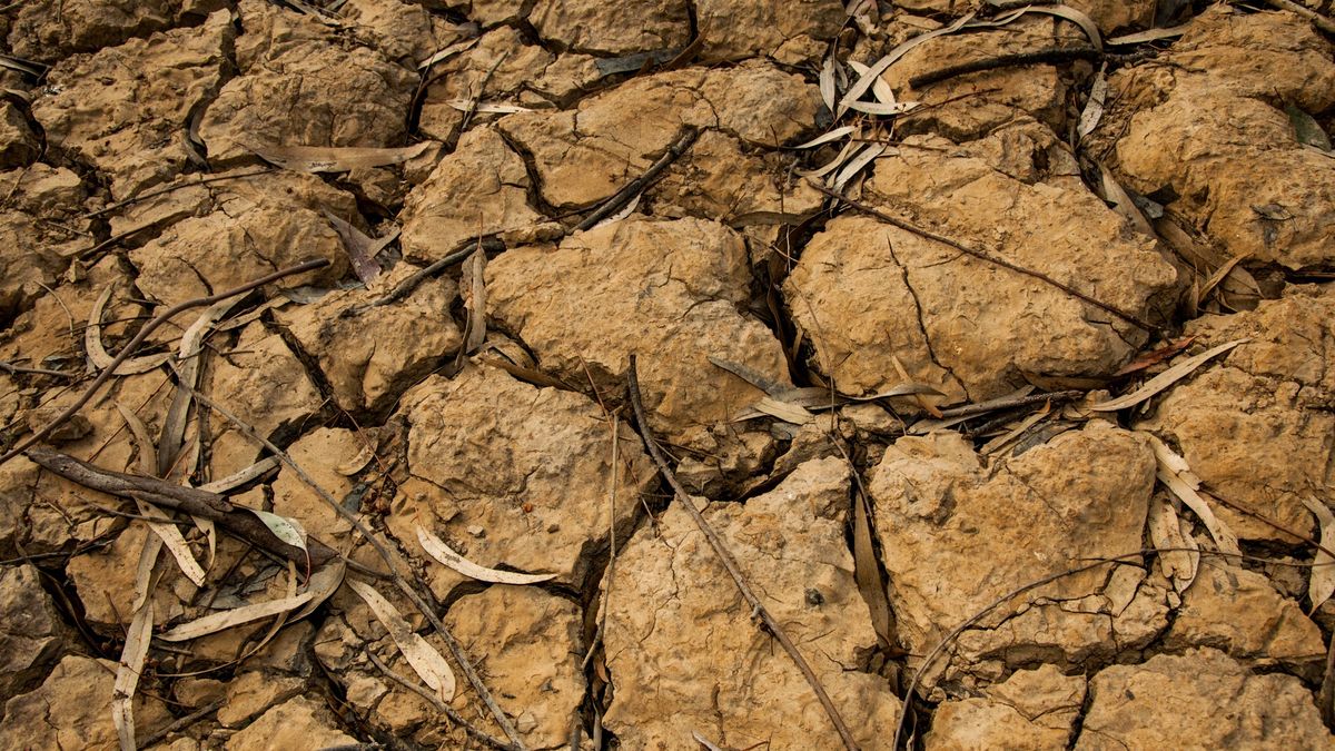Globalne ocieplenie może mieć wiele negatywnych skutków. Jednym z nich są lokalnie występujące susze