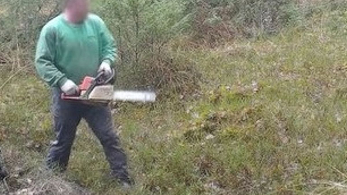 Czujne oko kamery zainstalowanej przez Straż Leśną z Nadleśnictwa Drewnica (RDLP w Warszawie) przyłapało na gorącym uczynku złodzieja drewna.