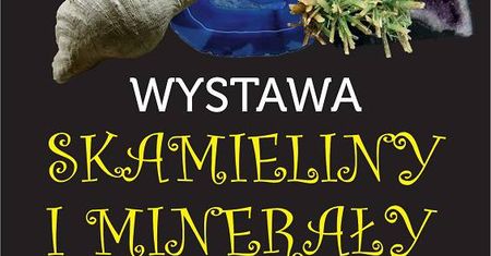 Wystawa skamielin i minerałów w Targach Lublin