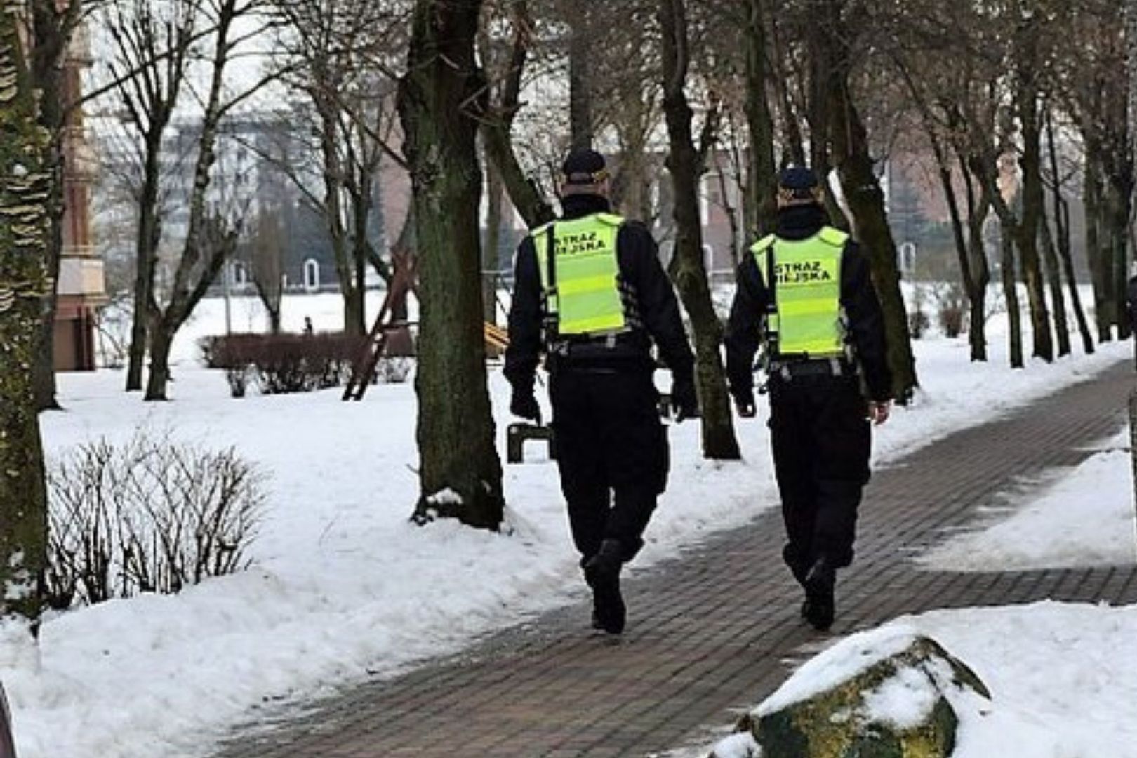 Pada śnieg? Lepiej to zrób, zanim dostaniesz mandat! Straż Miejska ostrzega