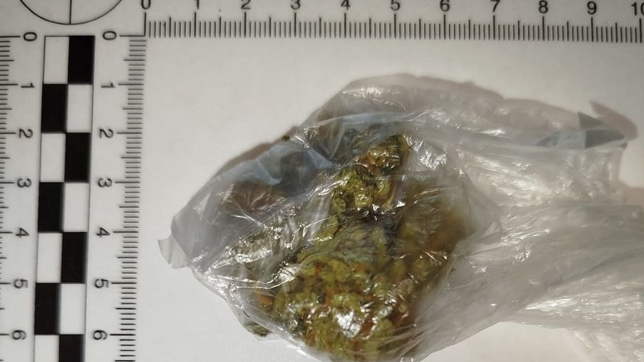 źródło: zoliborz.policja.gov.pl