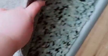 Niesamowite odkrycie pod dywanem. Nie mieli o tym pojęcia