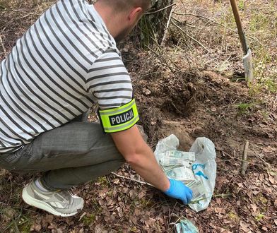 Zakopał torbę w lesie. Kierowca w rękach policji