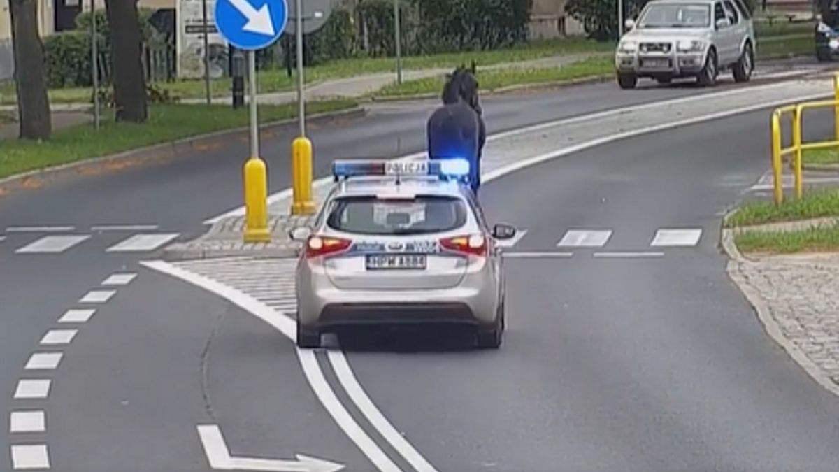 Koń biegał ulicami Szczecinka