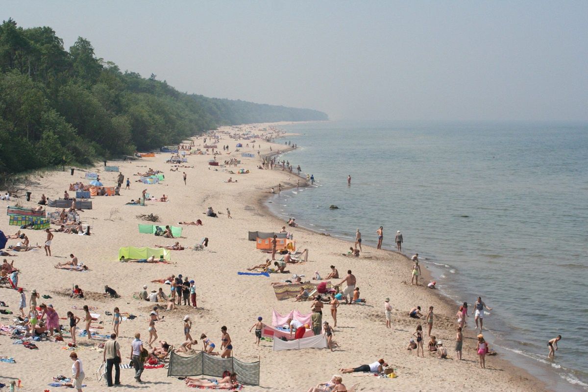 Apel o niespożywanie flądry znad Bałtyku.