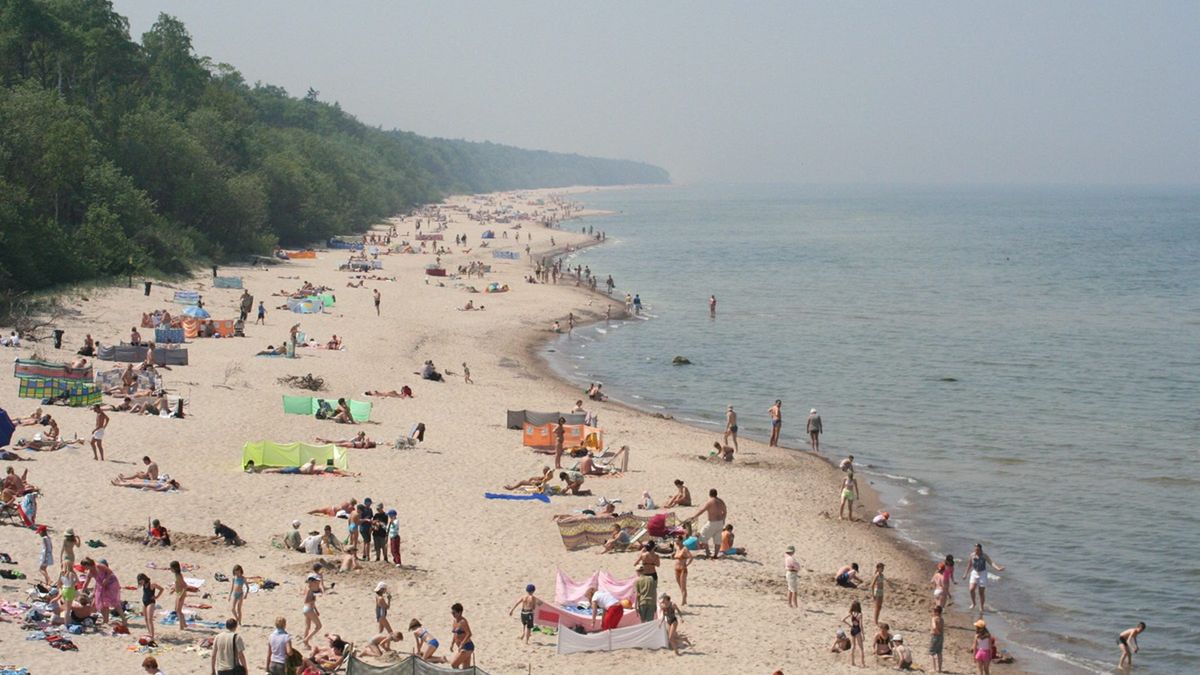 Apel o niespożywanie flądry znad Bałtyku.