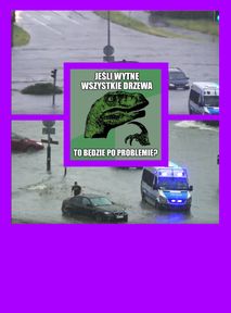 Chcecie mniej podtopień i powodzi? To PRZESTAŃCIE wycinać drzewa